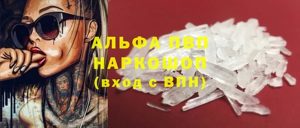 спиды Инсар