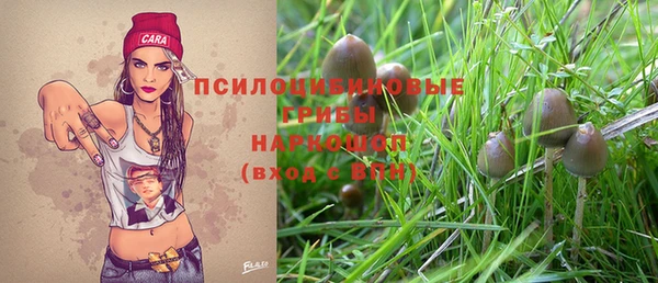 спиды Инсар