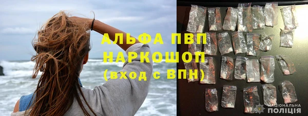 спиды Инсар