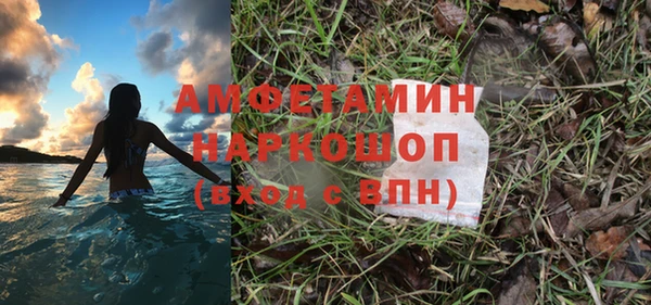 спиды Инсар