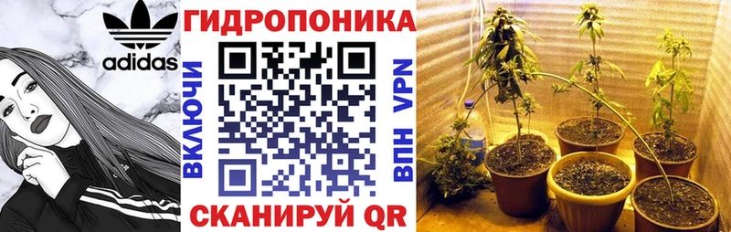Купить где Новоржев Бошки Шишки марихуана